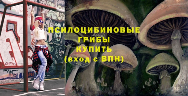 mdpv Михайлов