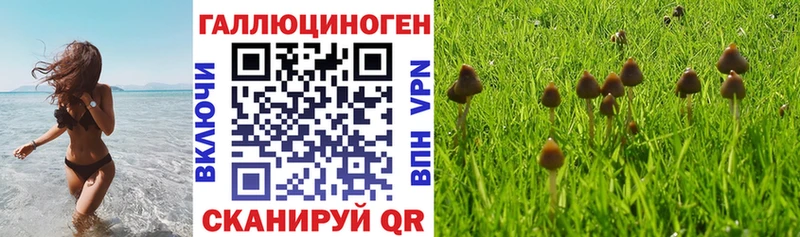 OMG как войти  Харовск  Галлюциногенные грибы MAGIC MUSHROOMS  наркотики 